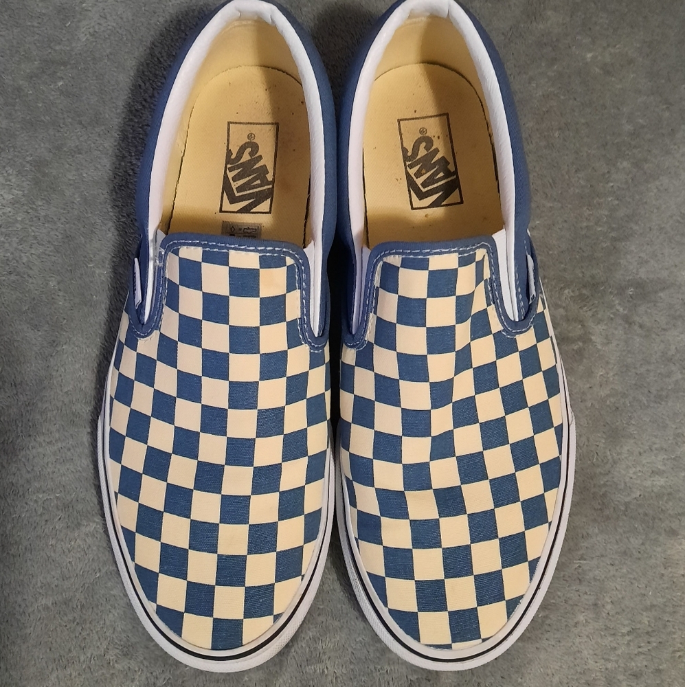 Vans Checkered slip-On Skate Shoes.